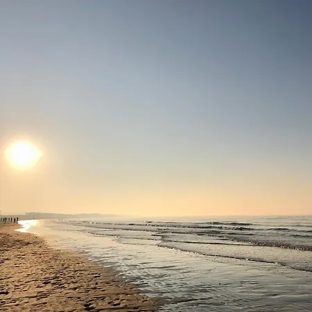 La Baraque Calais Blériot 2 Sangatte