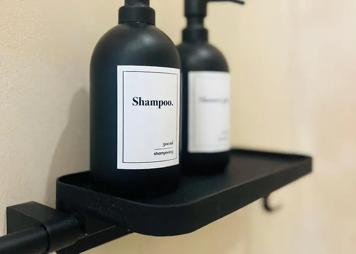 Апартаменты La Baraque Calais Bleriot 2 *