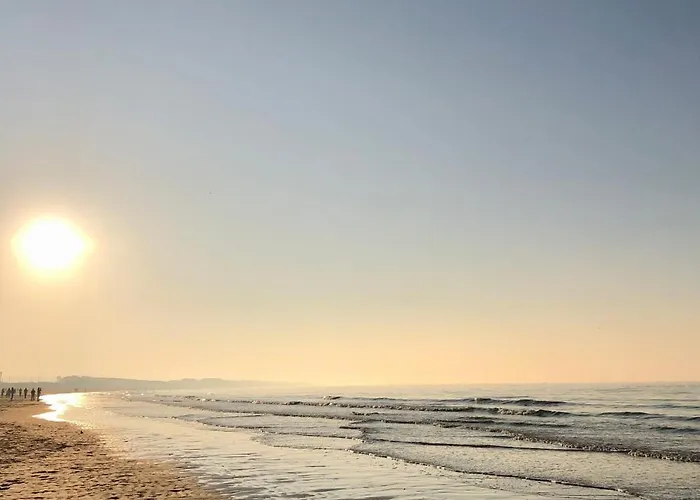 La Baraque Calais Bleriot 2 Сангатт